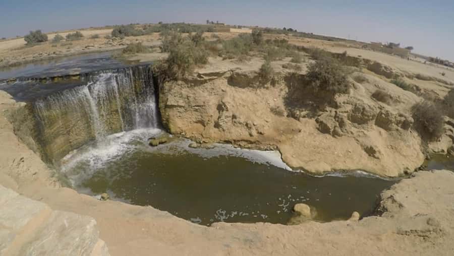 Cairo: Fayoum, Wadi El Rayan, and Wadi al Hitan 4x4 Tour - Fayoum in One Day: Why This 4x4 Trip Works