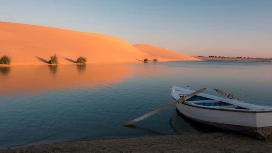 Cairo: Fayoum, Wadi El Rayan, and Wadi al Hitan 4x4 Tour - Magic Lake: Desert-Oasis Weirdness You’ll Remember