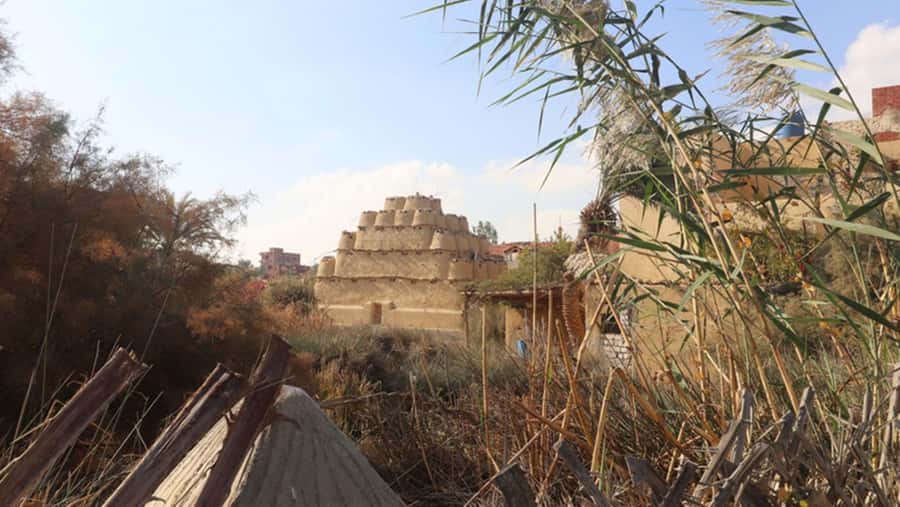 Cairo: Fayoum, Wadi El Rayan, and Wadi al Hitan 4x4 Tour - The Lunch Break in Nature: More Than Fuel