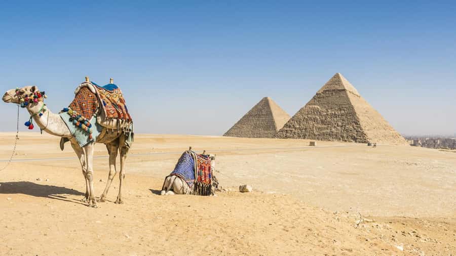 Cairo: Giza Pyramids, Memphis, Saqqara Private Tour & Lunch - Memphis: Egypt’s ancient capital in street-level ruins