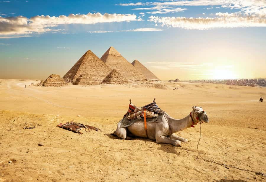 Cairo: Giza Pyramids, Memphis, Saqqara Private Tour & Lunch - What makes the guide and driver pairing matter