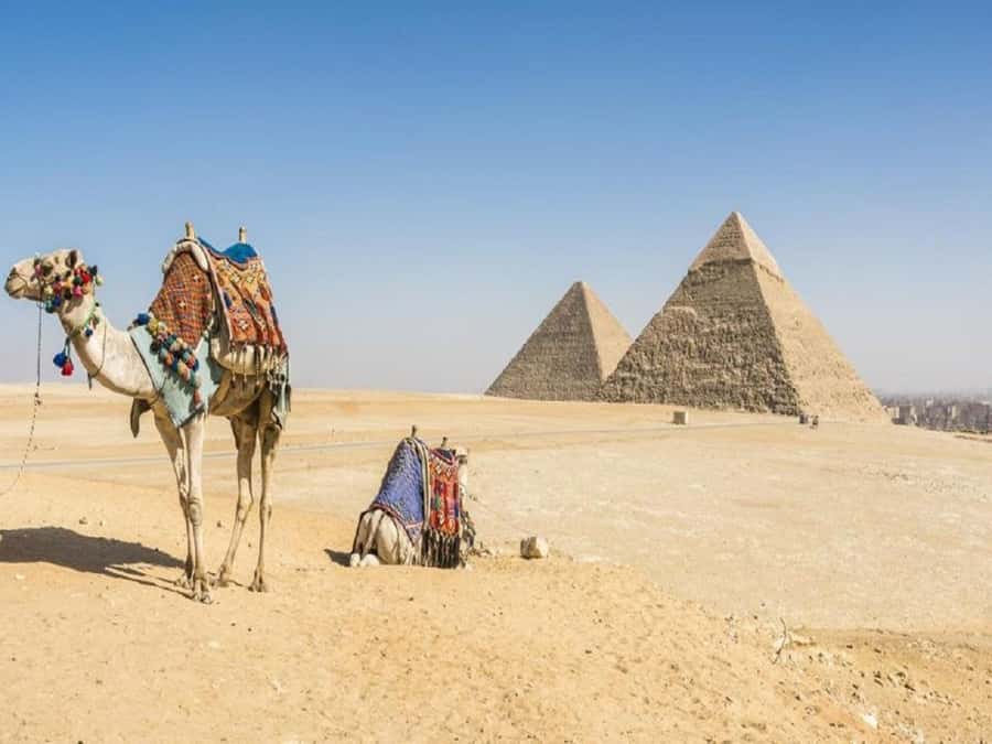 Cairo: Giza Pyramids, Sakkara & Dahshur All-Inclusive Tour - Dahshur: Bent Pyramid Experiments and the Red Pyramid