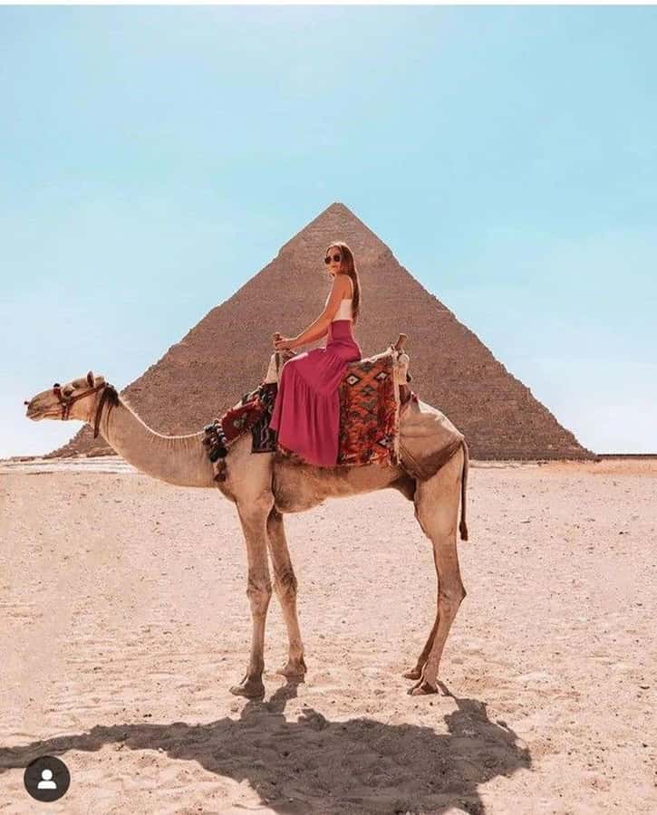 Cairo: Great Pyramids of Giza and Egyptian Museum Tour - Key highlights at a glance
