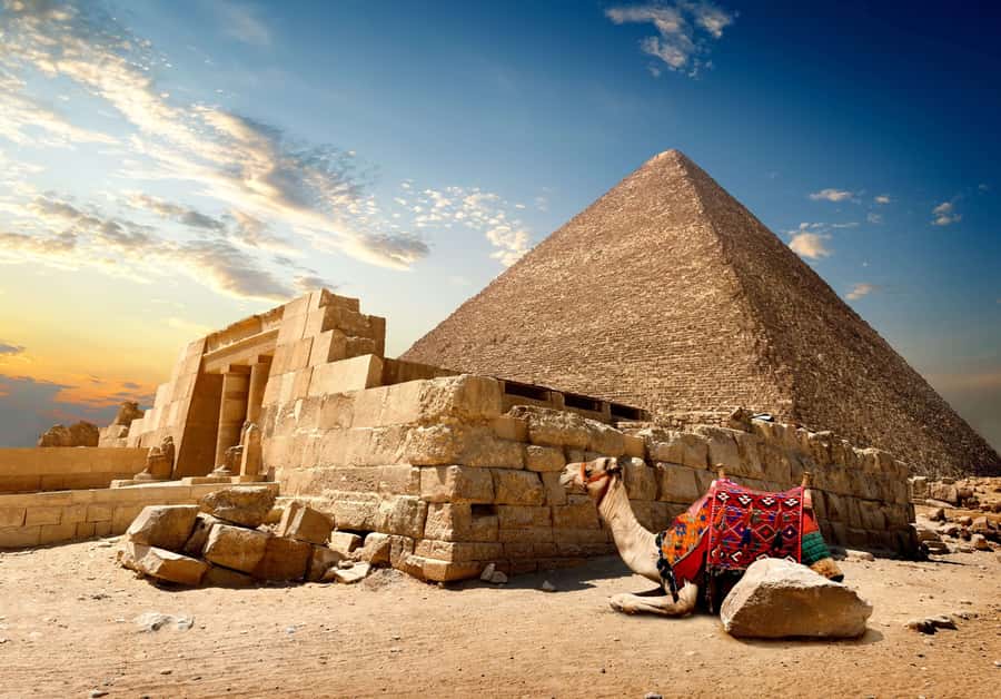 Cairo: Great Pyramids of Giza and Egyptian Museum Tour - The camel ride: fun change of pace, with clear expectations