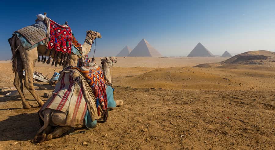 Cairo: Great Pyramids of Giza and Egyptian Museum Tour - Entering Giza: Cheops, Chephren, Mykerinus, and the Sphinx views