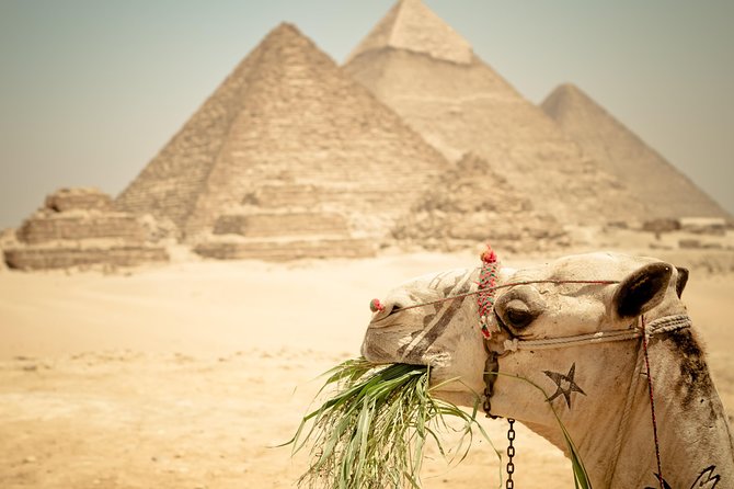 Cairo Private Tours To Giza Pyramids,Egyptian Museum & Bazaar - The panoramic viewing stop: why it’s worth a dedicated chunk