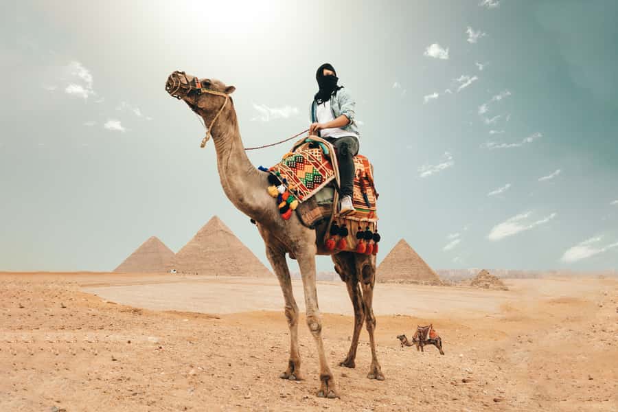 Cairo: Pyramids, Bazaar, Citadel Tour with Photographer - Hotel pickup to the Giza Plateau, no public transport guessing