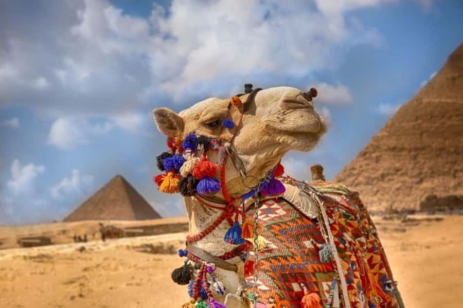 Cairo: Pyramids & Great Sphinx Private Tour with Camel Ride - Key Reasons This Private Giza Tour Works