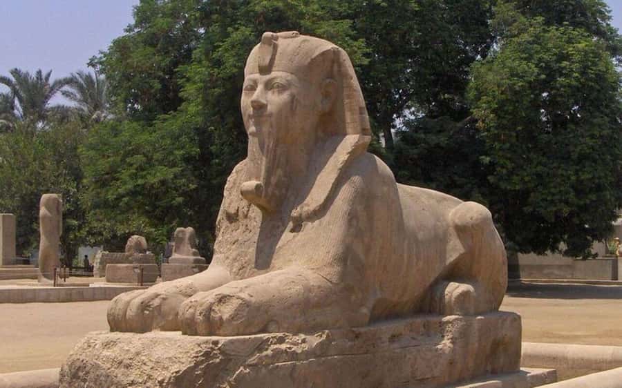 Cairo: Saqqara, Memphis, and Dahshur Day Trip with Lunch - Lunch, water, and the pace reality check