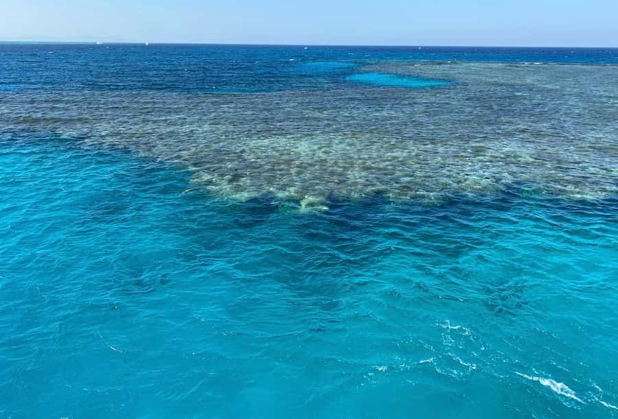 Cairo to Red Sea: VIP Yacht Cruise, Snorkeling & Lunch - Key highlights worth knowing first