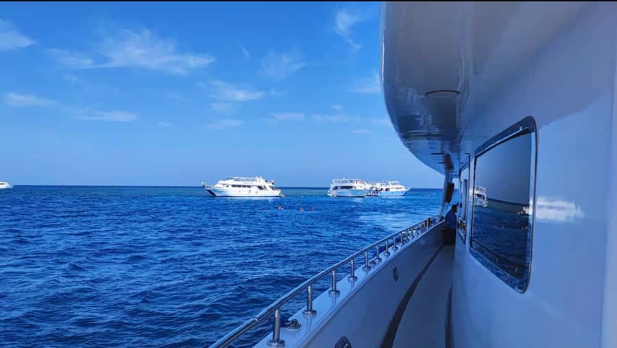 Cairo to Red Sea: VIP Yacht Cruise, Snorkeling & Lunch - Two snorkeling stops and a guide who matters