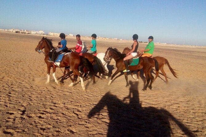 Camel ride & Bedouin dinner quad safari in Sharm el Sheikh - Pickup at 3:30 pm, Then Straight to the Desert