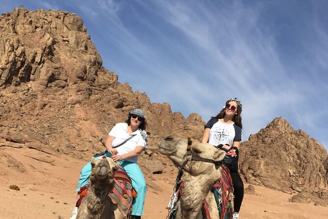 Camel ride & Bedouin dinner quad safari in Sharm el Sheikh - Dinner Under the Lights: Egyptian Food, Soda, and Entertainment
