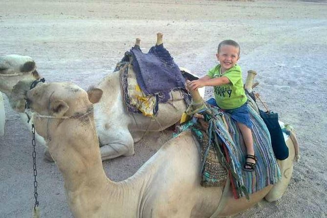 Camel ride & Bedouin dinner quad safari in Sharm el Sheikh - Quad Riding in Sharm: The 1.5-Hour Desert Drive