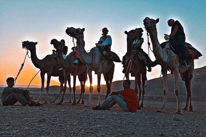 Camel Riding Tour in Luxor West Bank - Camel Tracks on Luxor’s West Bank: What This Tour Really Feels Like