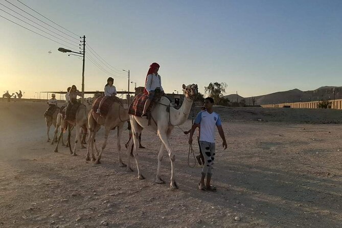 Camel Riding Tour in Luxor West Bank - Sunset Tea Party in the Desert: Why This Option Is Worth It