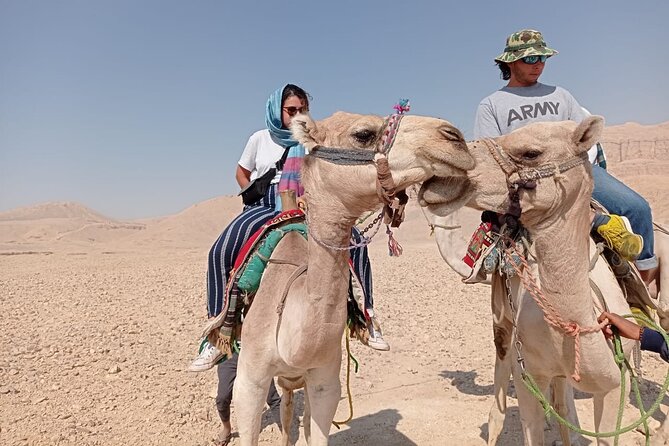 Camel Riding Tour in Luxor West Bank - Sunrise Ride for Hot Air Balloon Takeoff Views