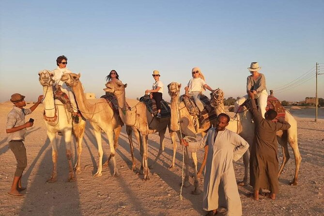 Camel Riding Tour in Luxor West Bank - How Pickup, the Nile Crossing, and the Meeting Point Work