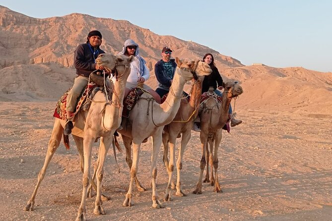 Camel Riding Tour in Luxor West Bank - Camels, Handlers, and Safety You Can Feel