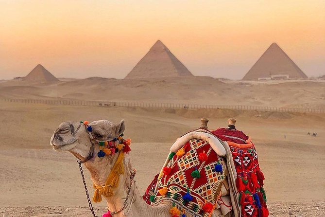 Cheap Private tour to Giza pyramids and the Sphinx - Hotel pickup to Giza Plateau: where the tour starts paying off