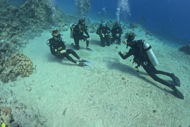 Course for Padi OW in Red Sea and Sinai - PADI Open Water in Hurghada: what you’re really buying for $450