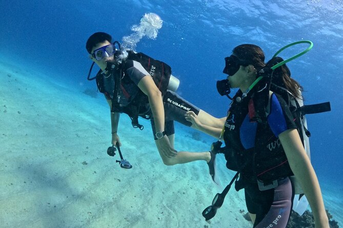 Course for Padi OW in Red Sea and Sinai - The course day: theory first, then skills you can actually use