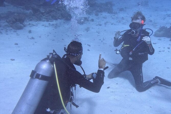 Course for Padi OW in Red Sea and Sinai - Equipment and boat comfort: clean gear, lunch, and the small details