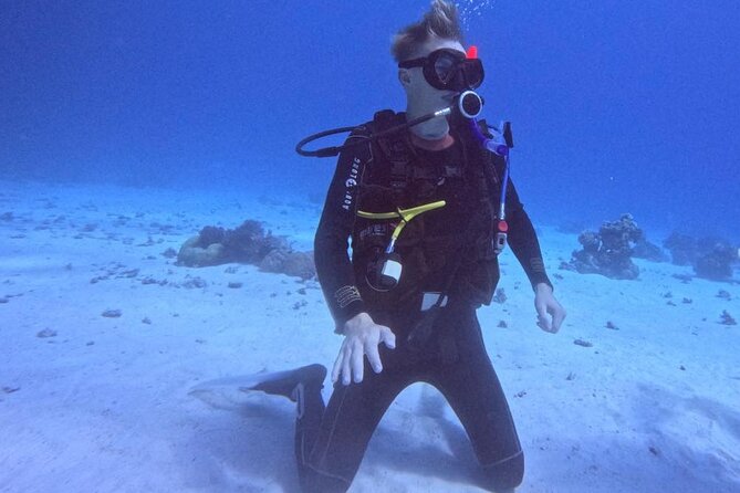 Course for Padi OW in Red Sea and Sinai - Underwater sessions in the Red Sea and Sinai area: what you’ll likely see