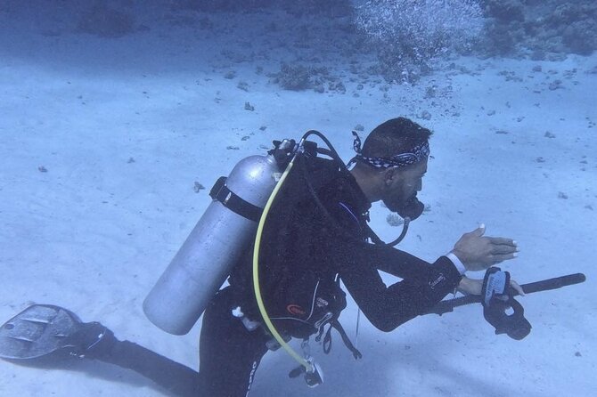 Course for Padi OW in Red Sea and Sinai - Instructors matter: Mohamed, Mr. Ashraf, and the patience factor