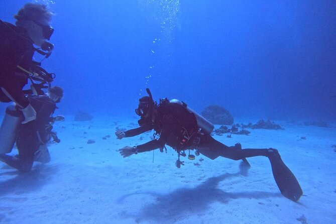 Course for Padi OW in Red Sea and Sinai - Group size and timing: why “up to 15” can feel good