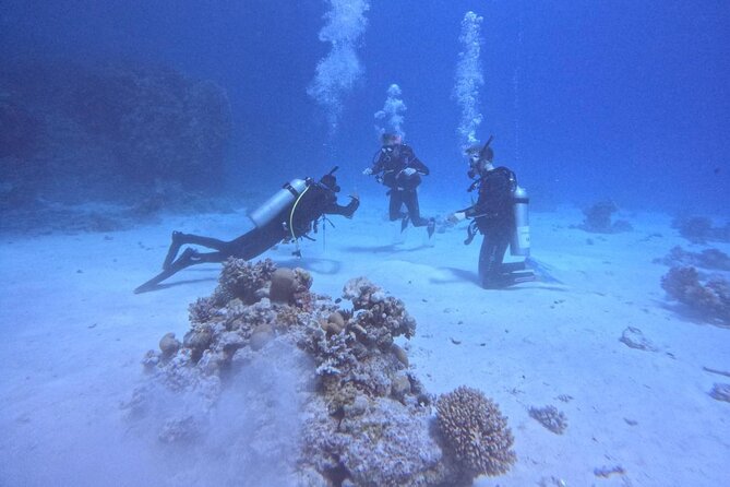 Course for Padi OW in Red Sea and Sinai - Extra costs to plan for: marine park and outside-Hurghada transfer