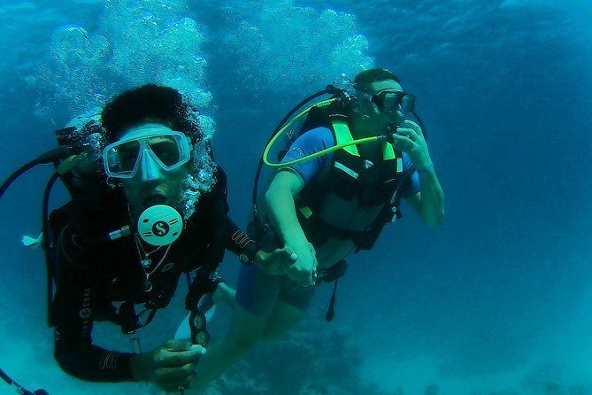 Daily 2 Dives with Equipment from Hurghada - From pickup at 8:00 AM to the boat: how the day flows