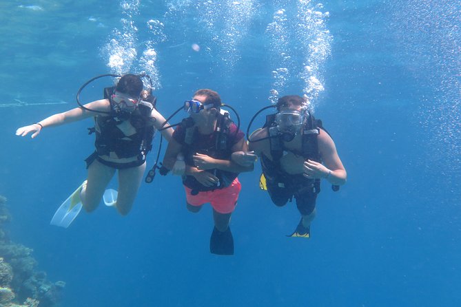 Daily 2 Dives with Equipment from Hurghada - Lunch on board: the part people often forget to plan for