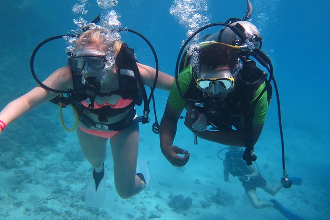 Daily 2 Dives with Equipment from Hurghada - Price and extras: where the real cost can change