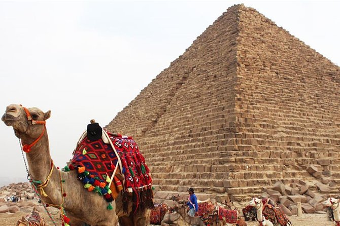 Day Tour To Cairo From Alexandria - Khan el-Khalili in 1 hour: shop with a plan, not hope