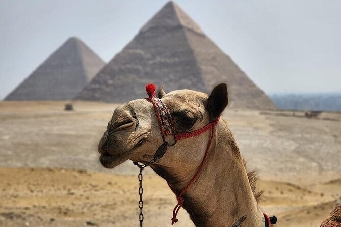 Day tour to Giza Pyramids, Memphis and Sakkara - Getting out early, why it matters on the Giza circuit