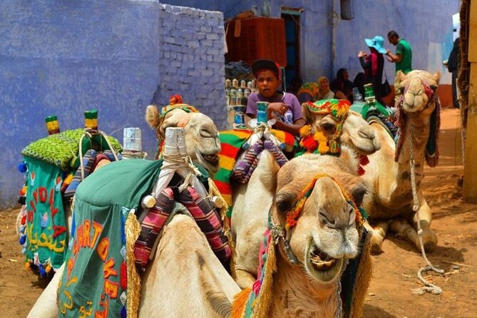 Day Trip to Nubian Village with Camel Tour from Aswan - From your Aswan hotel to Nubian Village, the trip is designed for ease