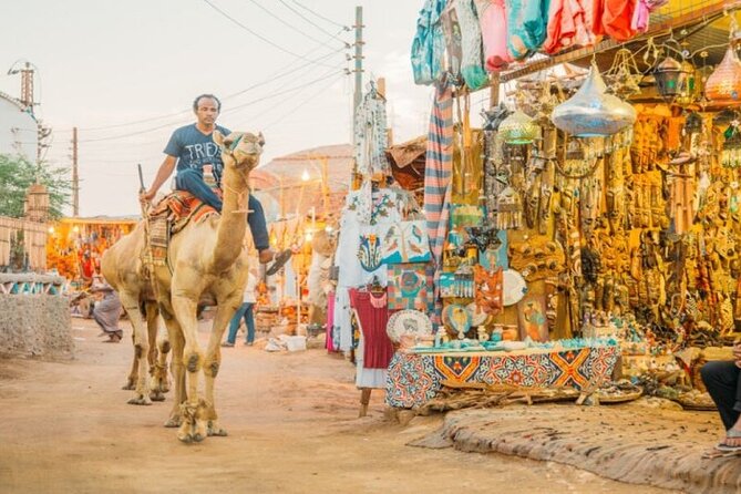 Day Trip to Nubian Village with Camel Tour from Aswan - Price and value at $20, what you are really buying