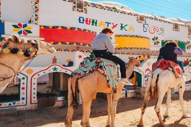 Day Trip to Nubian Village with Camel Tour from Aswan - What the guided Nubian visit feels like in practice