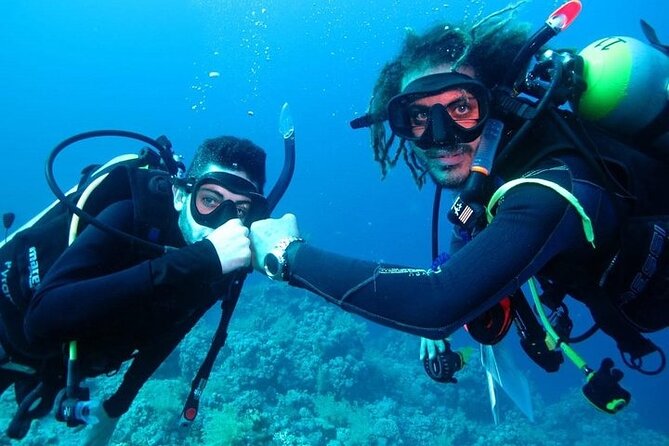 Discover Scuba Diving - Who This One-Day Try Is Best For