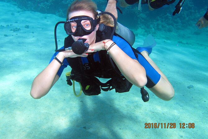 Discover Scuba Diving Sharm El Sheikh - Ras Mohamed and White Island: Coral, Fish, and a Full-Red-Sea Feel