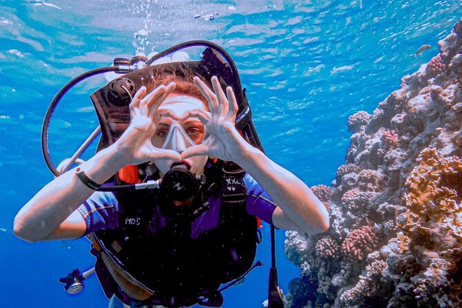 Discover Scuba Diving Sharm El Sheikh - Gear, Lunch, and the Comfort Stuff That Matter on a First Day