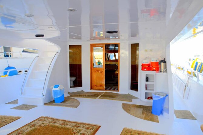 Diving And Snorkeling To Ras Mohamed And White Island By VIP Boat - White Island: walking a sandbar in knee-deep water