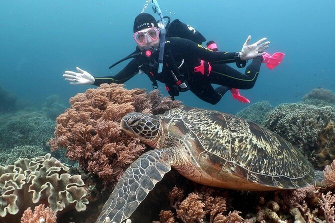 Diving And Snorkeling To Ras Mohamed And White Island By VIP Boat - Lunch, drinks, and the comfort details that matter