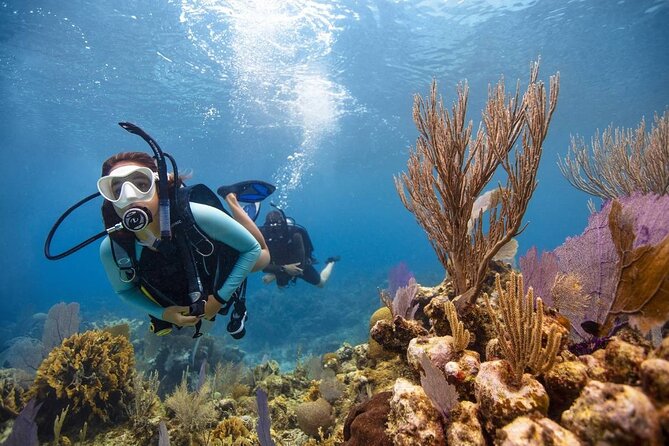 Diving And Snorkeling To Ras Mohamed And White Island By VIP Boat - Money check: the 5€ National Park fee