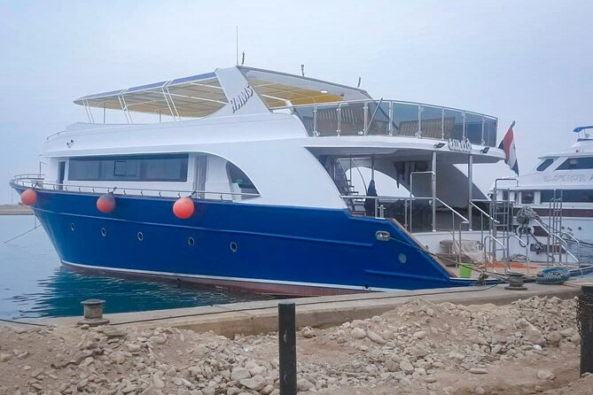 Diving Full Day 2 Stops Boat Trip For Beginners With Lunch and Transfer–Hurghada - Equipment, Comfort, and the Instructor Support Factor