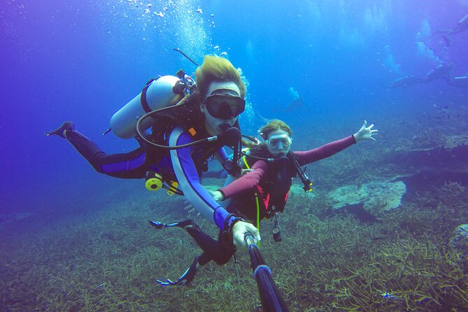 Diving Full Day 2 Stops Boat Trip For Beginners With Lunch and Transfer–Hurghada - Safety, Comfort, and One Serious Note to Take Seriously