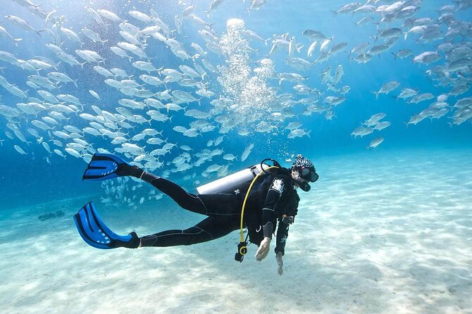 Diving Full Day 2 Stops Boat Trip For Beginners With Lunch and Transfer–Hurghada - Who This Trip Fits Best (And Who Might Want Something Different)