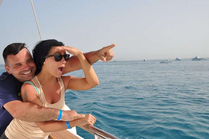 Dolphin house - Hurghada’s Dolphin House Visit, What You’re Really Buying