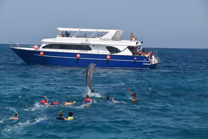 Dolphin House and Banana Boat Fun from Hurghada - Key things to know before you go
